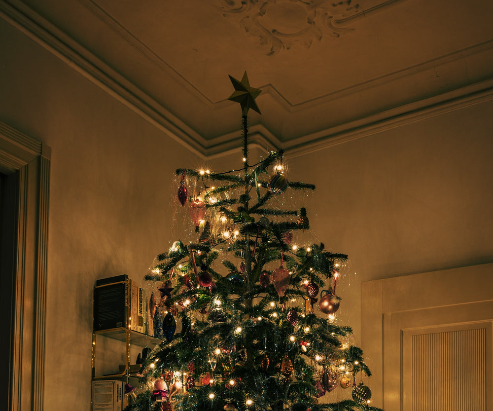 [MERRY GUSHMAS] Dit zijn de gezondheidsvoordelen van een echte kerstboom in huis