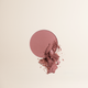 GO & GLOW BLUSH + HIGHLIGHT PALETTE | NUDE