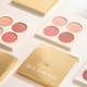 GO & GLOW BLUSH + HIGHLIGHT PALETTE | NUDE