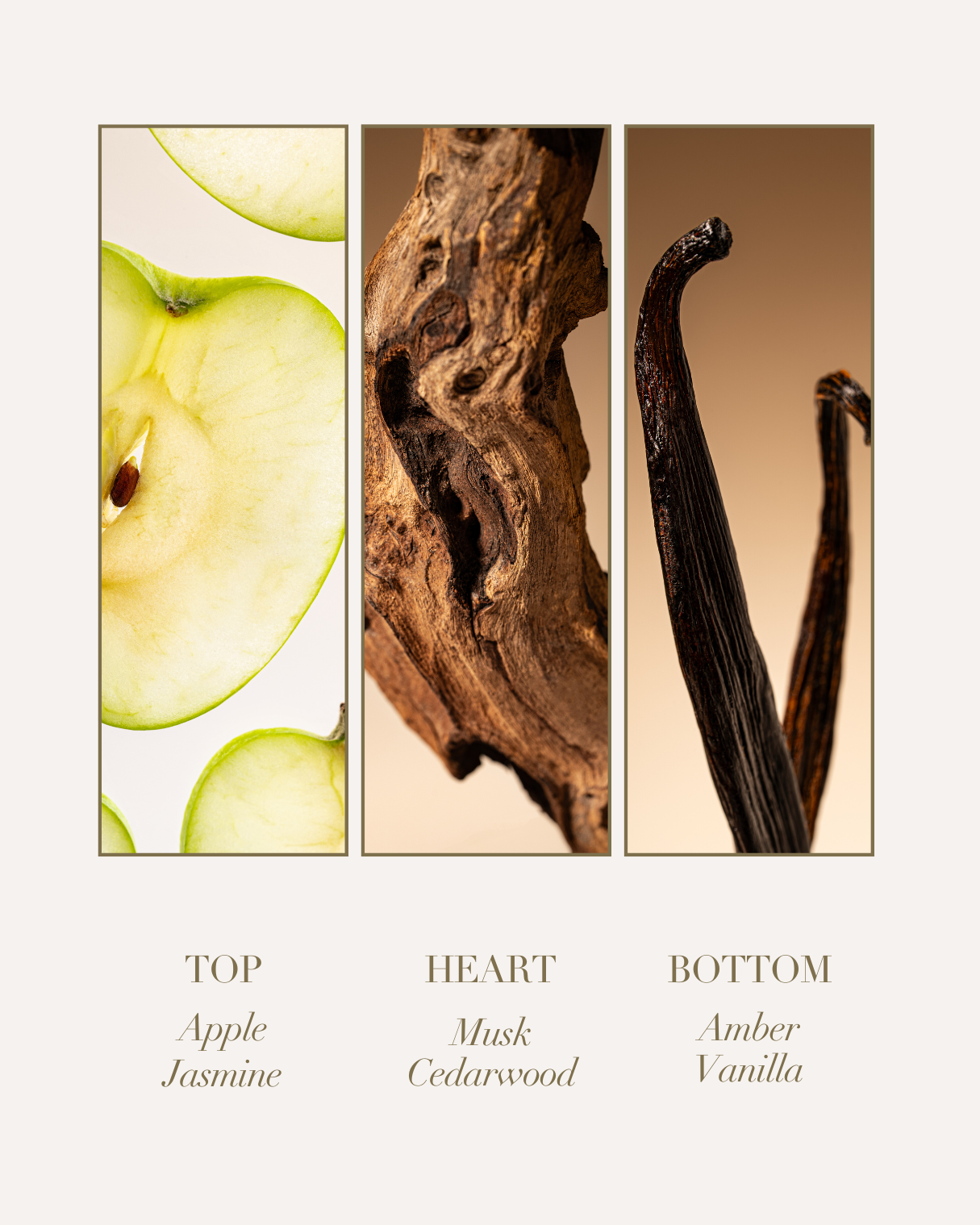 Parfum Femme Le Temps De Vivre - Georges Rech - 100 Ml Eau De Parfum - Notes Jasmin, Vanille